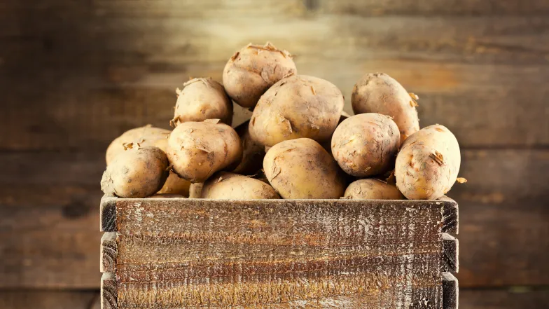 Patate del Fucino